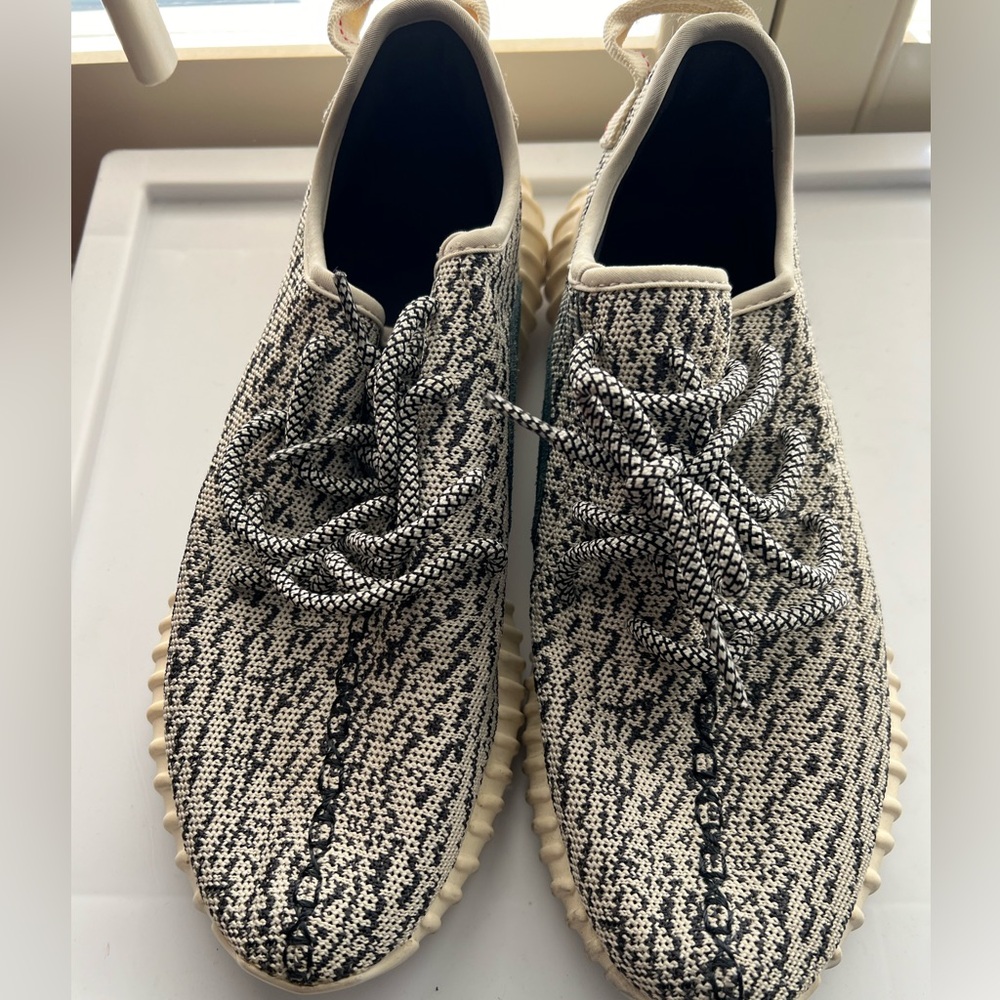 Yeezy Turtle Dove